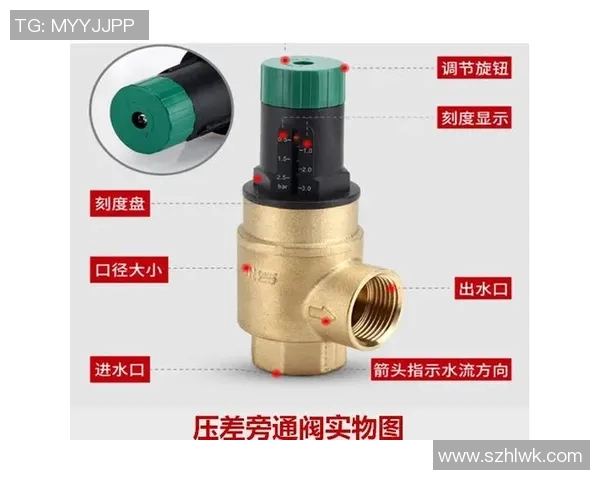 水管阀门的选择与维护技巧及其在家庭水系统中的重要性解析